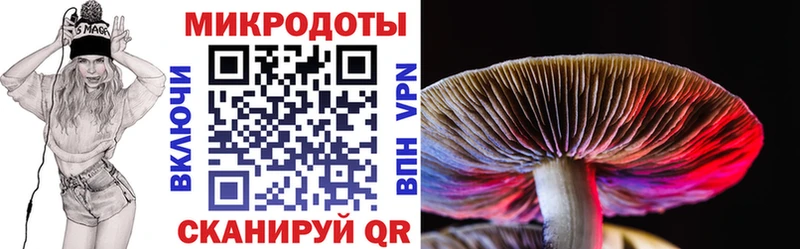mega ONION  Ставрополь  Псилоцибиновые грибы GOLDEN TEACHER 